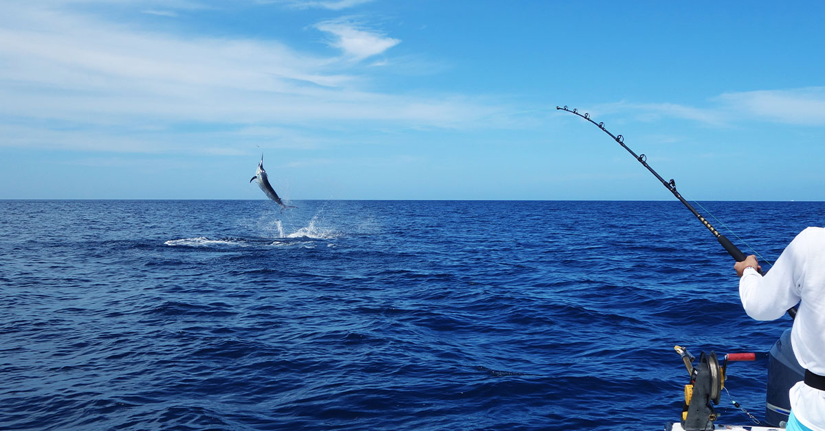 world class fishing in the bahamas