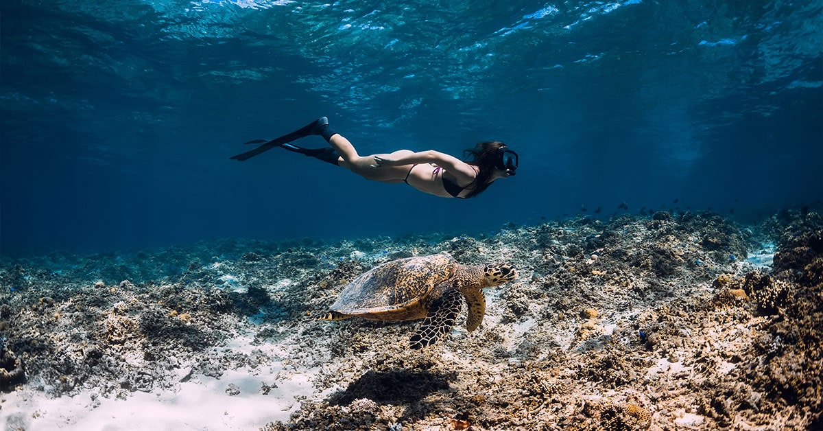 snorkeling in the bahamas