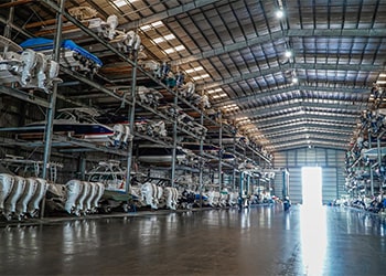 Find Out Why Dry Storage is a Game Changer in The Bahamas